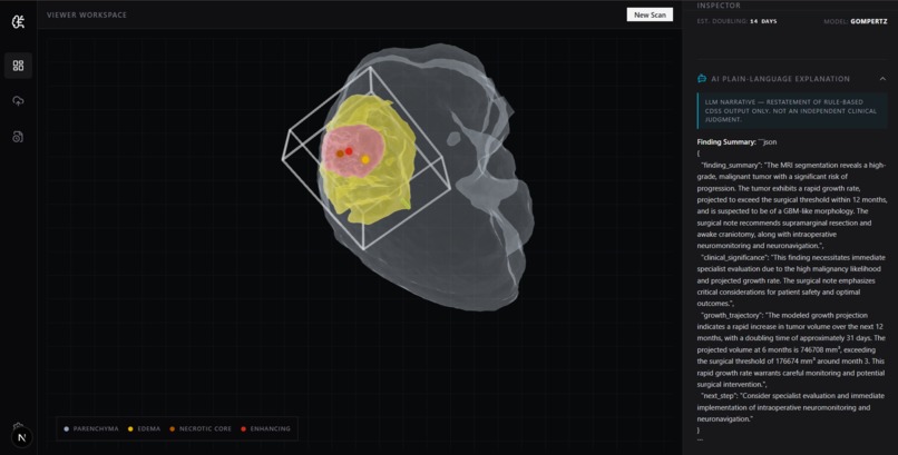 Neurovista AI – screenshot 5