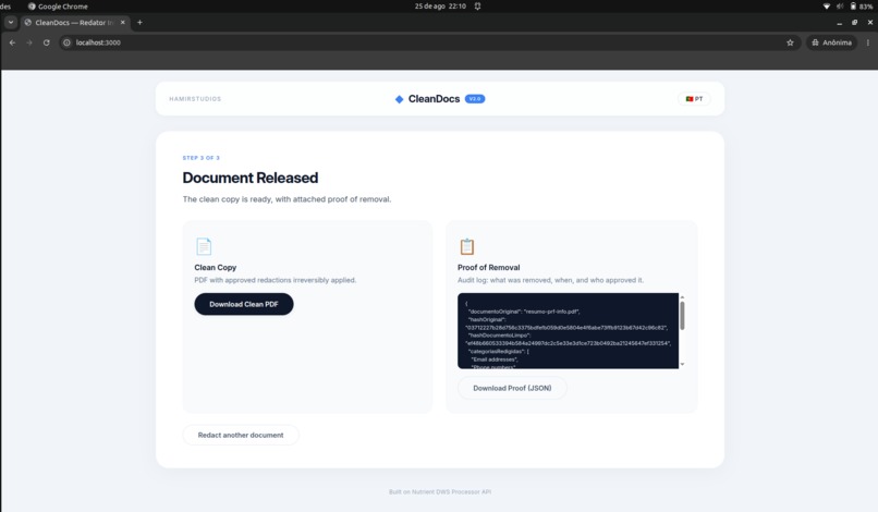 CleanDocs - Smart PII Redactor – screenshot 3