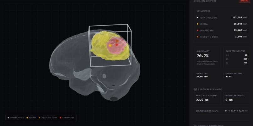NeuroVista-AI – screenshot 5