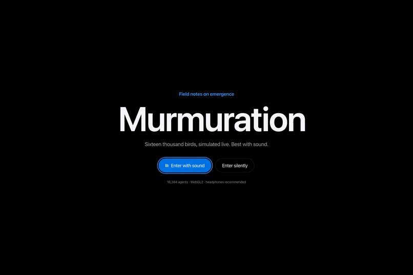 Murmuration/The color is the point  – screenshot 1