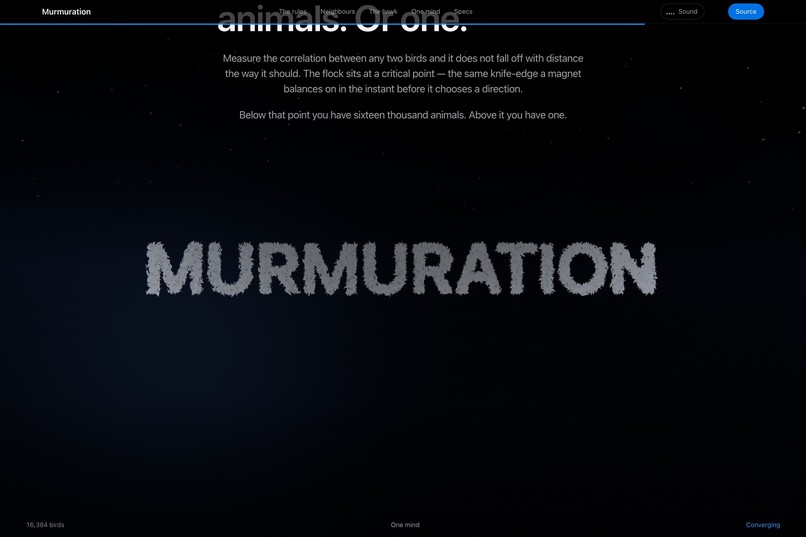 Murmuration/The color is the point  – screenshot 3