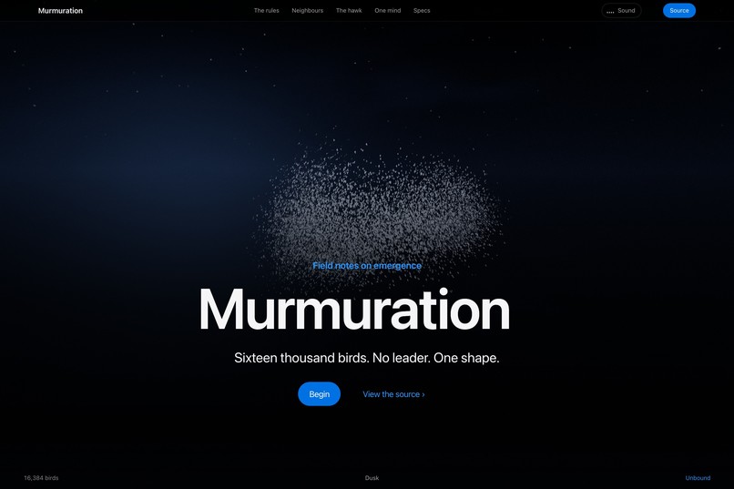 Murmuration/The color is the point  – screenshot 4