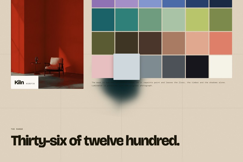 Murmuration/The color is the point  – screenshot 5