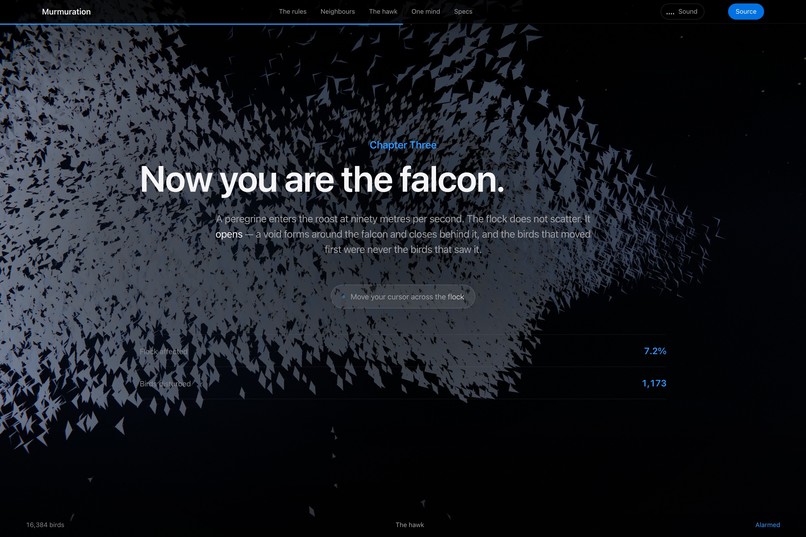 Murmuration/The color is the point  – screenshot 9