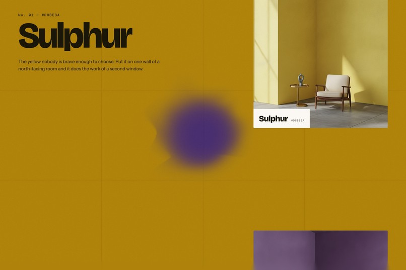 Murmuration/The color is the point  – screenshot 10