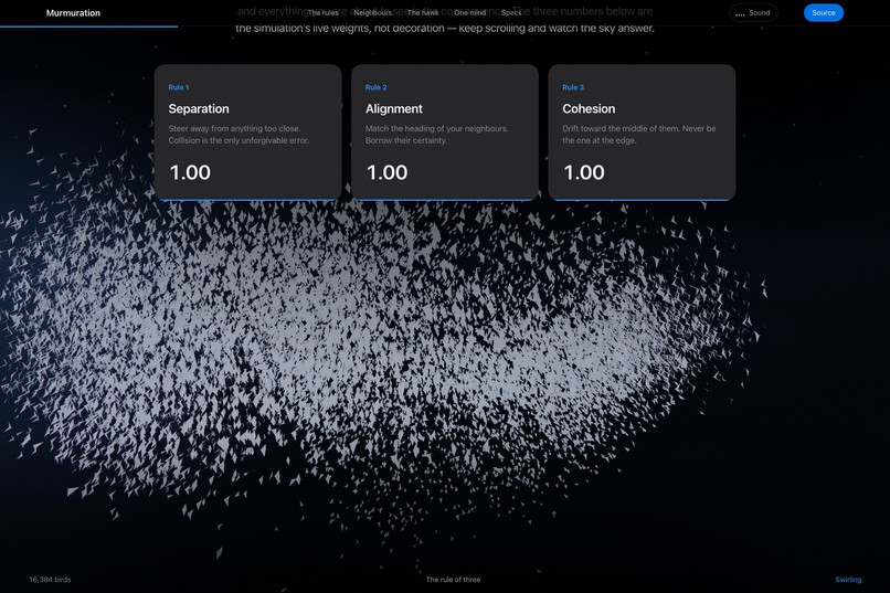 Murmuration/The color is the point  – screenshot 12