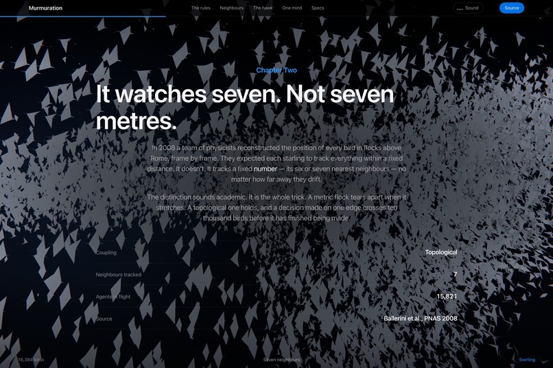 Murmuration/The color is the point  – screenshot 13