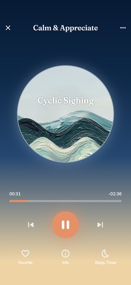 Shora: Personalized Meditation and Journaling – screenshot 7