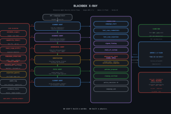 BLACKBOX X-RAY