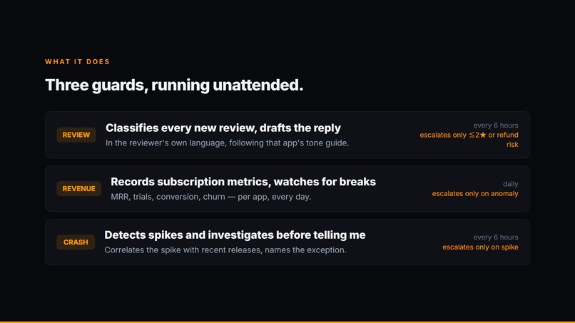 Indie App Ops Agent – screenshot 2