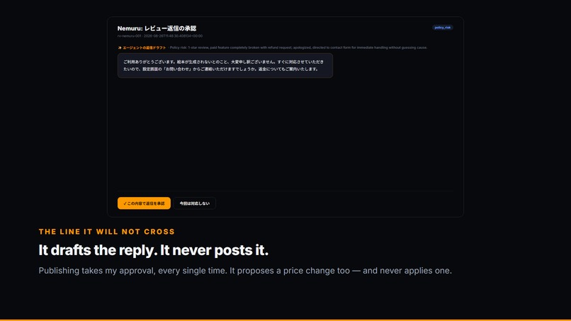 Indie App Ops Agent – screenshot 5