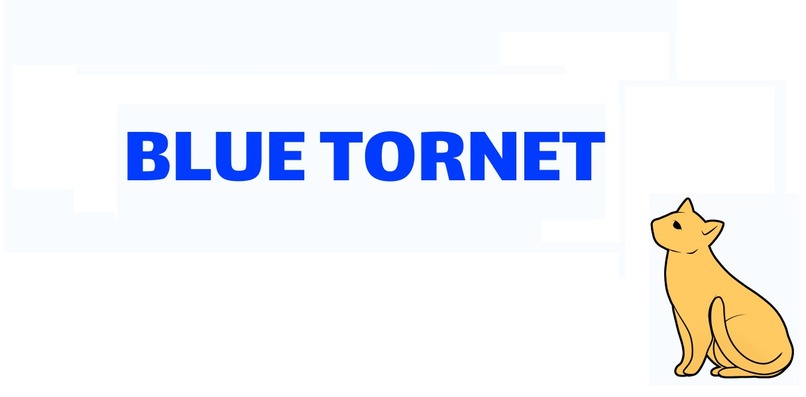 Blue Tornet – screenshot 1