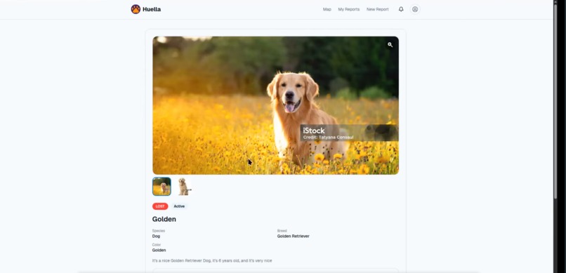 Huella – screenshot 5
