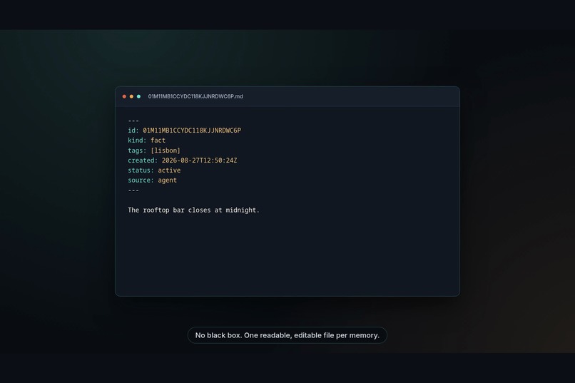 Remnic Canvas – screenshot 1
