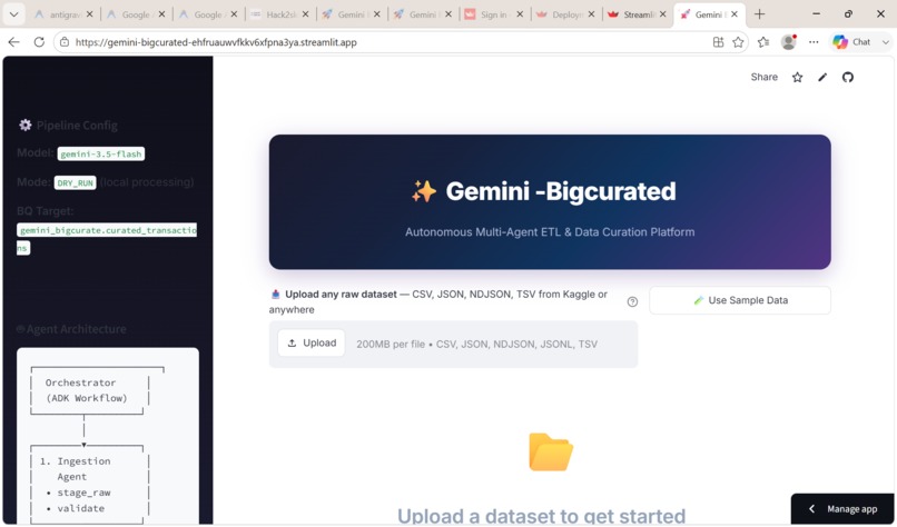 Gemini-BigCurated – screenshot 1