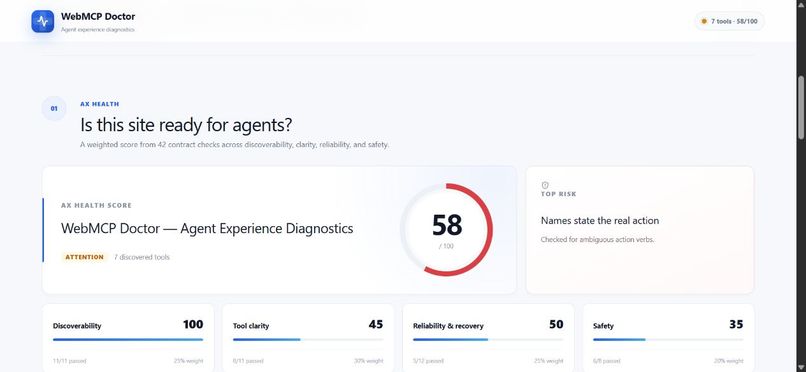 WebMCP Doctor – screenshot 1
