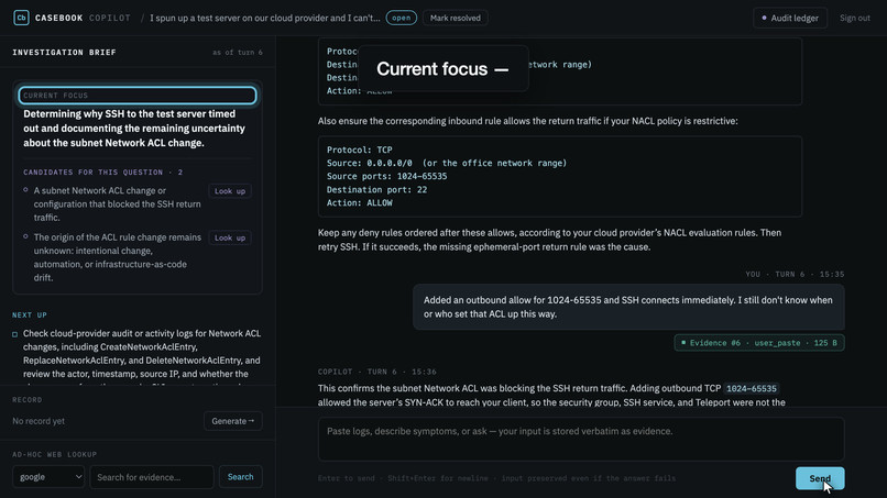 casebook-copilot – screenshot 12