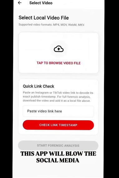 Video Origin Analyzer – screenshot 4