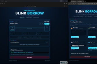 Blink Borrow 