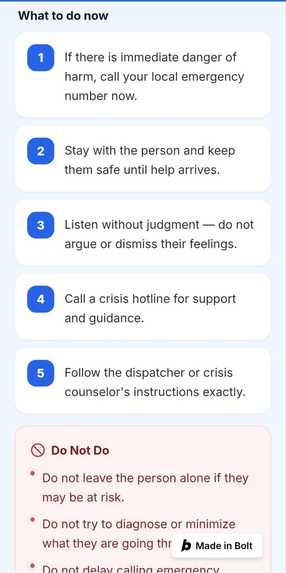 RescueBridge – screenshot 5