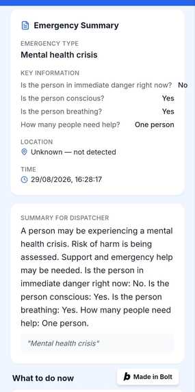 RescueBridge – screenshot 8