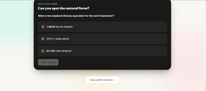 LingoTrace – screenshot 5