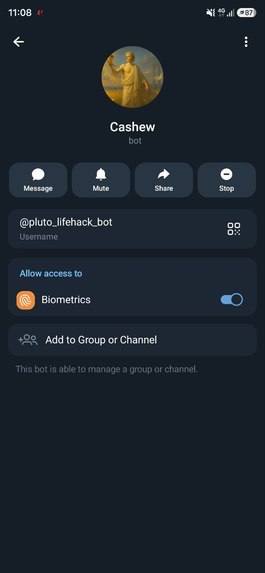 Cashew:  – screenshot 7