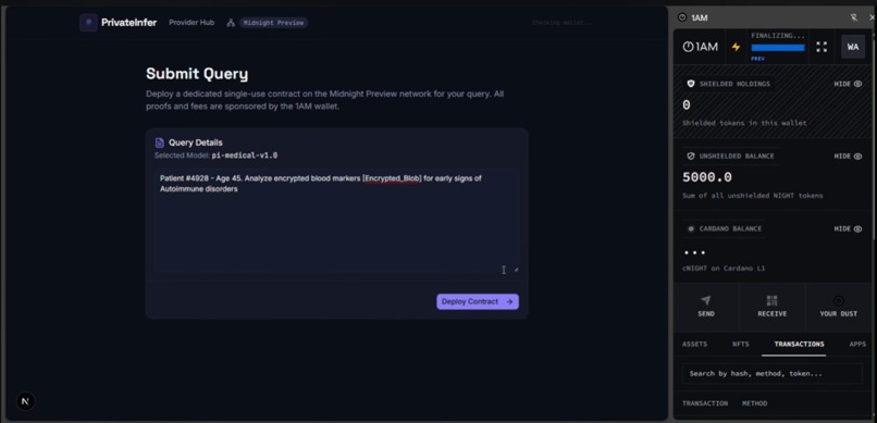 PrivateInfer – screenshot 2
