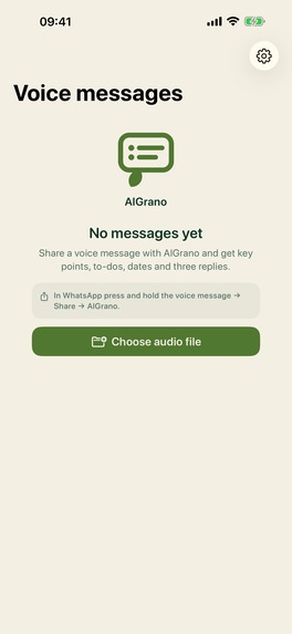 AlGrano: Voice Note Summary – screenshot 2