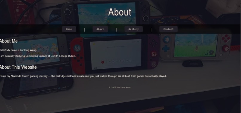 The Cartridge Shelf – screenshot 6