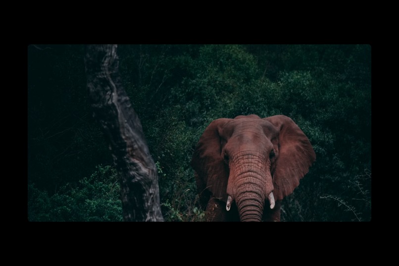 HABITAT PULSE – screenshot 5