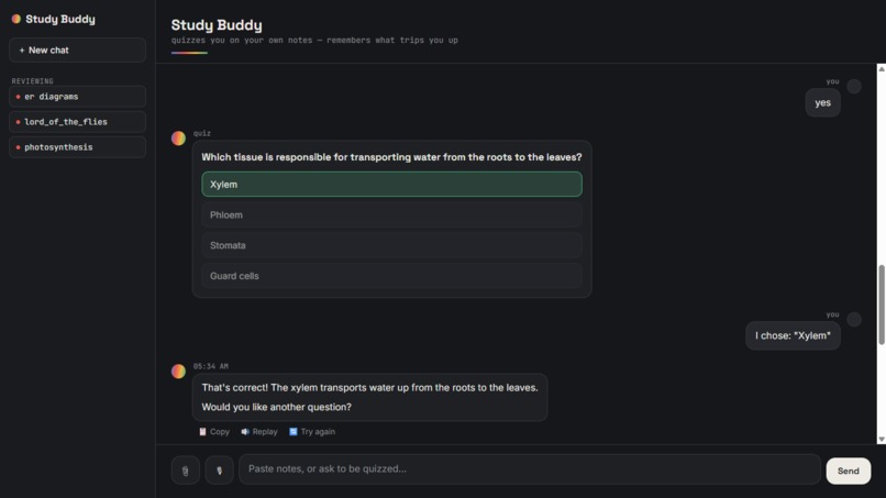 Study Buddy – screenshot 5