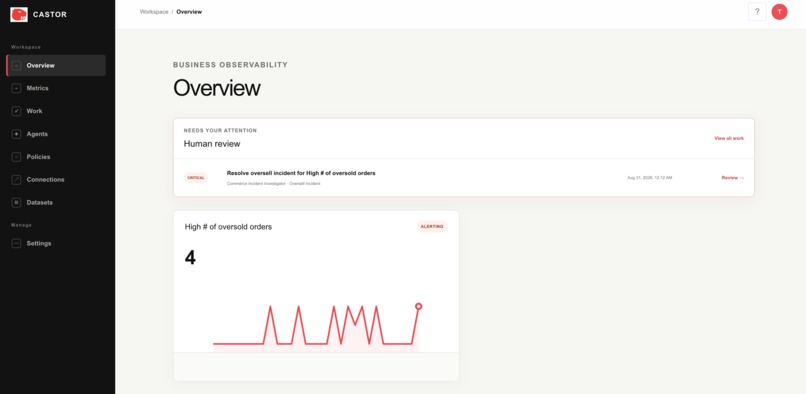 Castor – screenshot 8