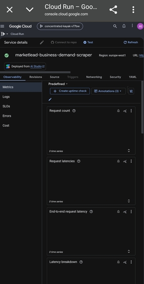 MarketLead Business Demand Scraper – screenshot 1