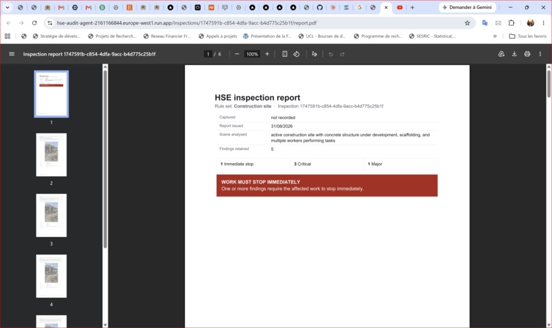 HSE Audit Agent – screenshot 3
