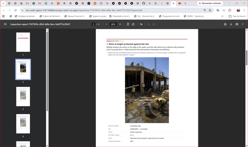 HSE Audit Agent – screenshot 7