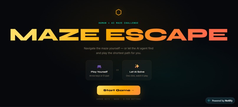 Maze Escape Game  – screenshot 1
