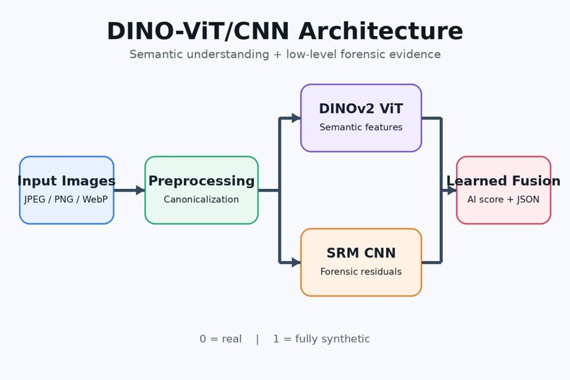 DINO-v2 + CNN/ViT – screenshot 2