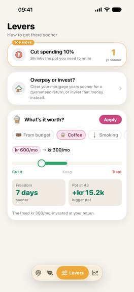 Runway: Retire Early Planner – screenshot 1