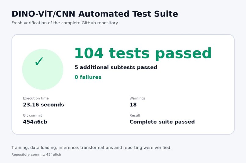 DINO-v2 + CNN/ViT – screenshot 4