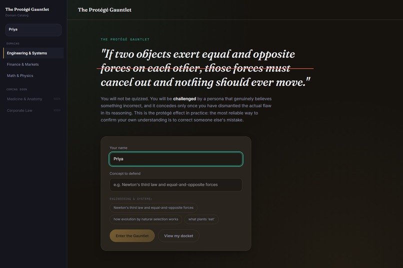 Protege Gauntlet – screenshot 7