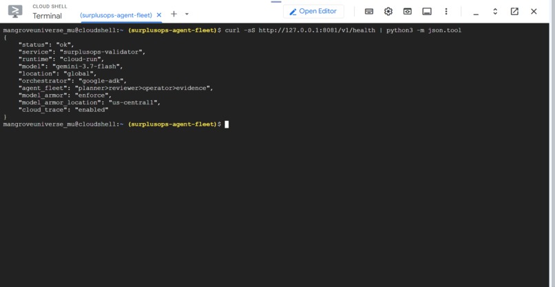 SurplusOps – screenshot 6