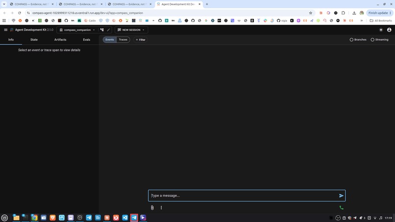 Compass – screenshot 1