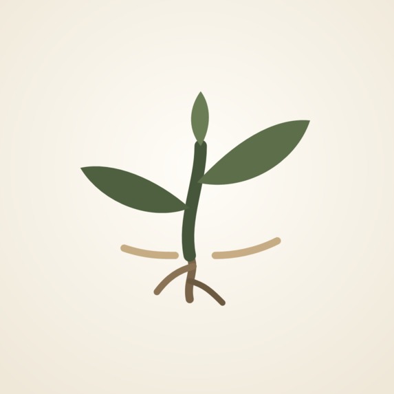 Palsta: A Slow Garden – screenshot 1