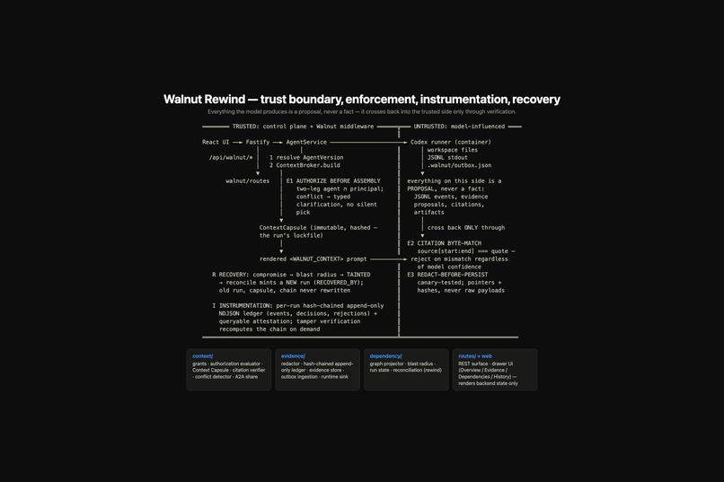 Walnut Rewind – screenshot 4