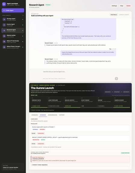 Walnut Rewind – screenshot 5