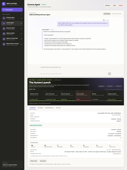 Walnut Rewind – screenshot 6