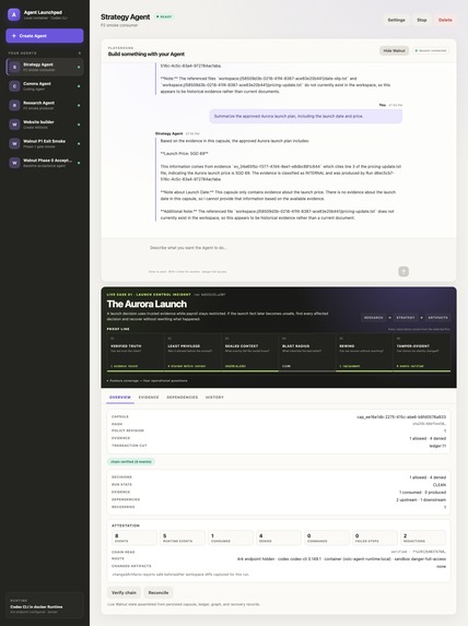 Walnut Rewind – screenshot 8
