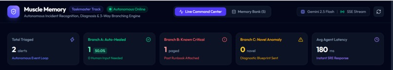 Muscle Memory – screenshot 2