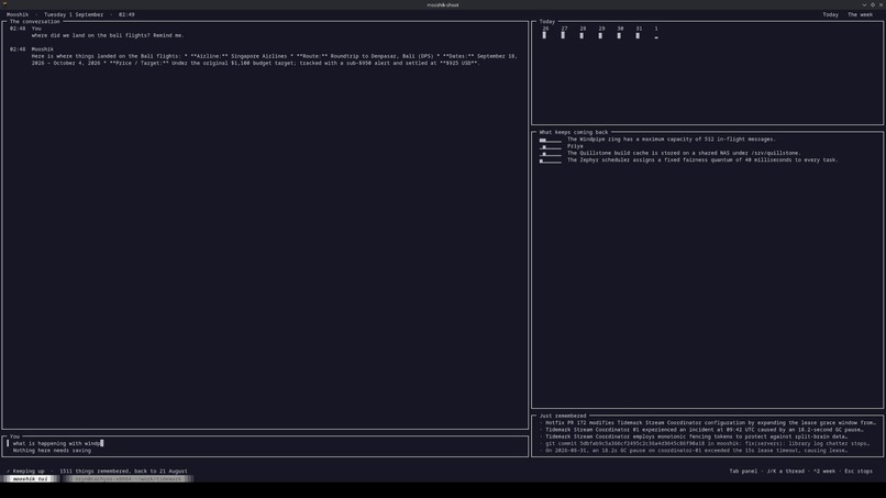 Mooshik - your ambient companion – screenshot 10
